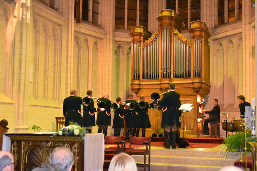 brasDSC_01502520copy