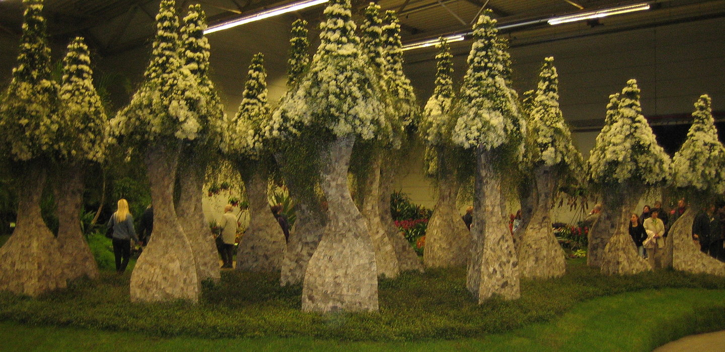 floralien047