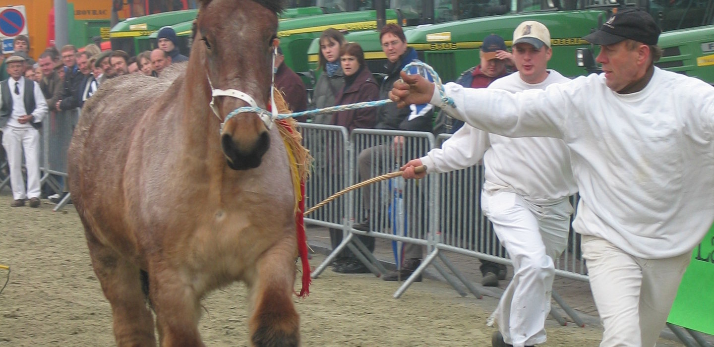 Houtem_Jaarmarkt_5