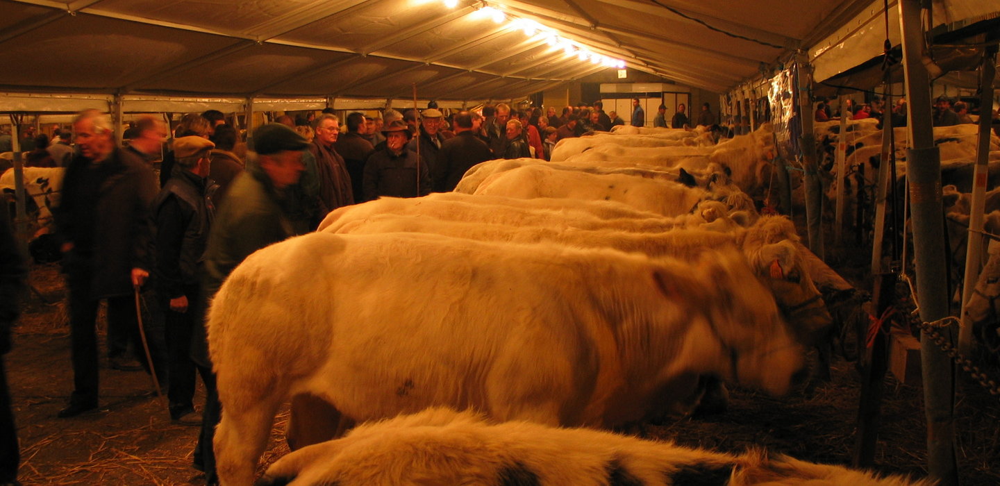 Houtem_Jaarmarkt_6