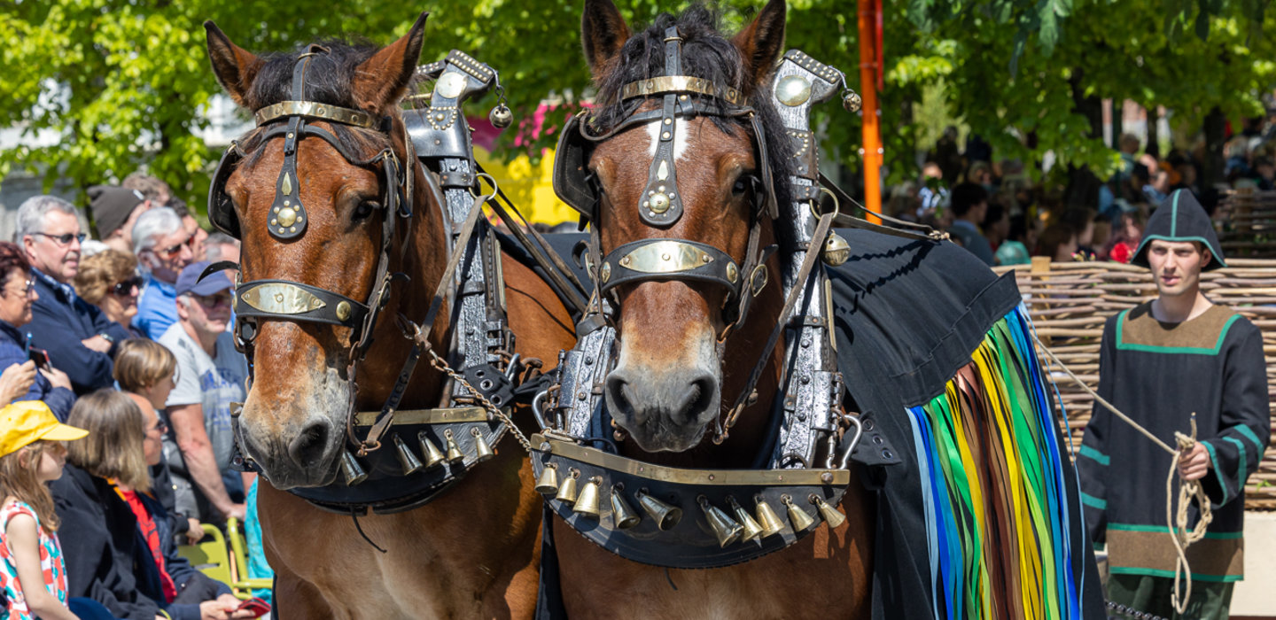 20230518_Heilige_Bloedprocessie_2023_Brugge_FT_304_2_LR