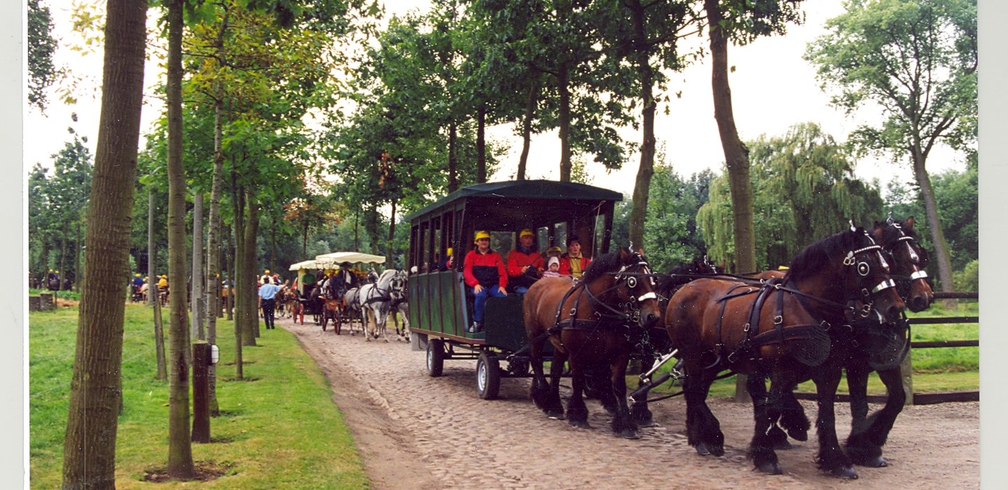 WaregemKoersefeesten4