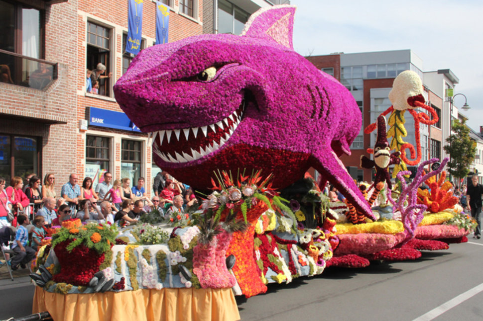 Bloemencorso3_St_Gillis_bij_Dendermonde