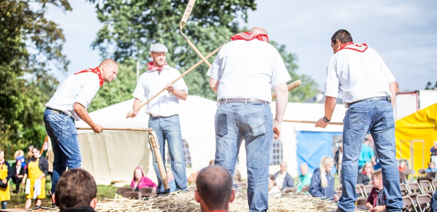 OogstfeestDePikkeling3
