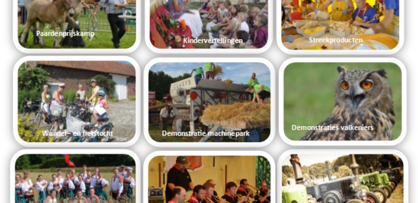 OogstfeestDePikkeling11_vaste_waarden