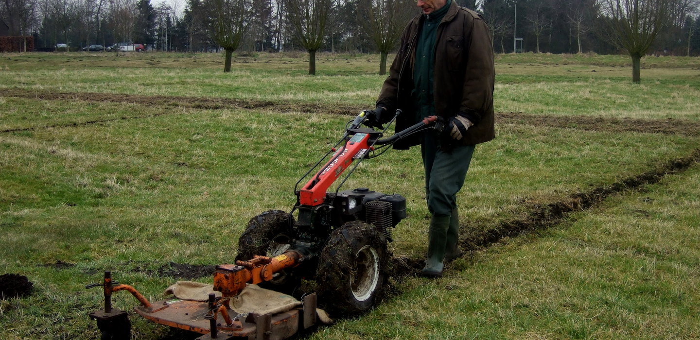 Beeld2AlbertMertenszoevenuitfrezen
