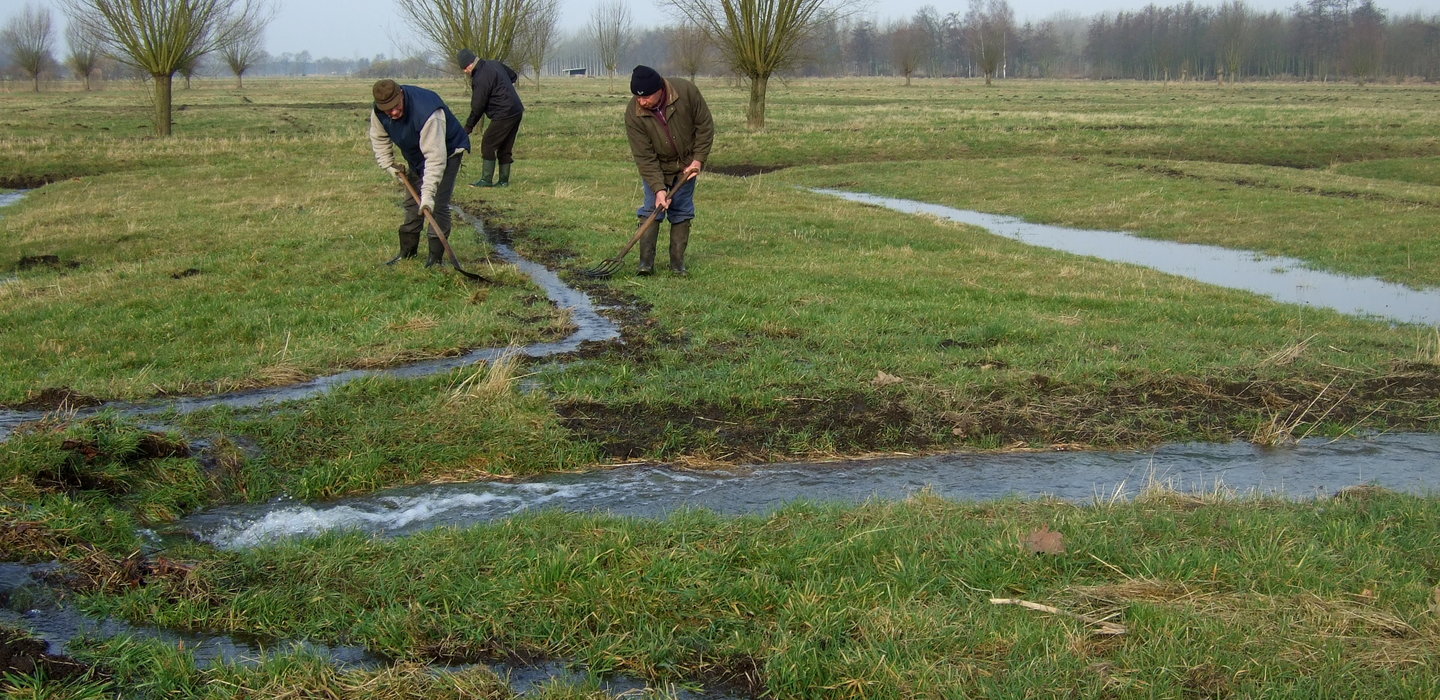 Beeld6AlbertMertensinzettenbijhetwitteren