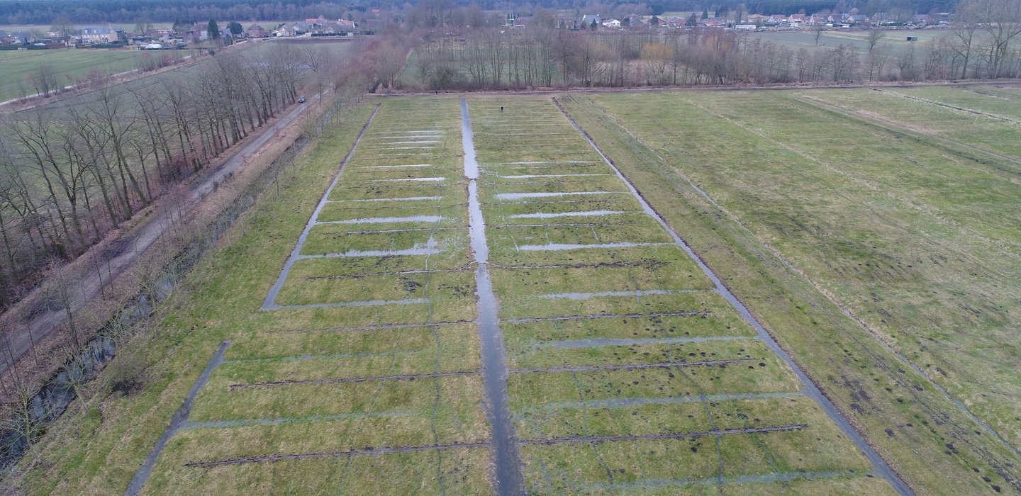 Beeld8NicoVandeKerkhofluchtbeeldwitteren